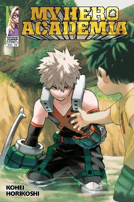 Picture of My Hero Academia, Vol. 29