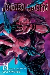 Picture of Jujutsu Kaisen, Vol. 14