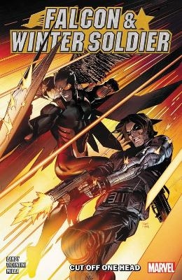 Picture of Falcon & Winter Soldier Vol. 1