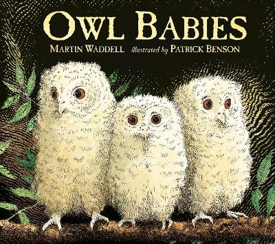 Picture of Owl Babies