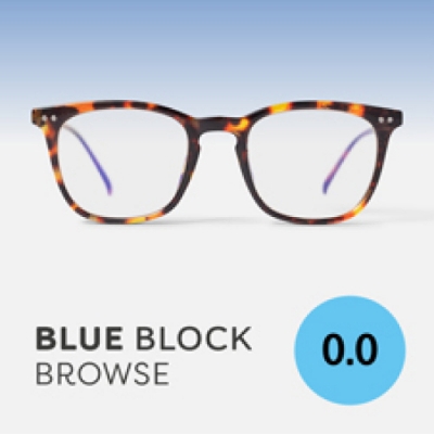 Picture of Easy Readers BLUE BLOCK - Browse 0.0