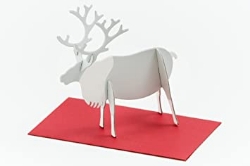 Picture of Reindeer Message Card