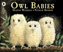 Picture of Owl Babies