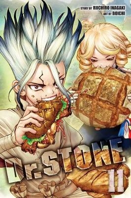 Picture of Dr. STONE, Vol. 11