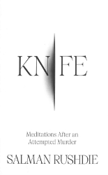 Picture of Knife: Meditations After an Attempted Murder