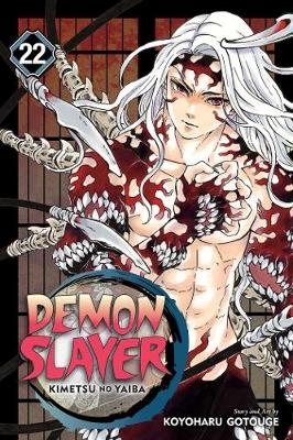 Picture of Demon Slayer: Kimetsu no Yaiba, Vol. 22