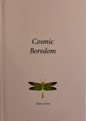 Picture of Cosmic Boredom