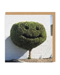 Picture of Happy Tree Square Greeting Card