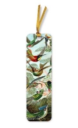 Picture of Ernst Haeckel: Hummingbirds Bookmarks (pack of 10)