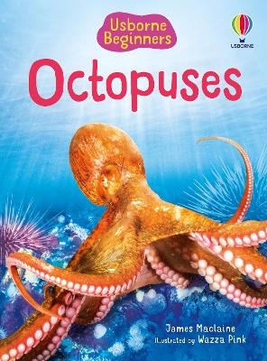 Picture of Beginners Octopuses