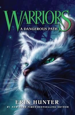 Picture of A Dangerous Path (Warriors, Book 5)